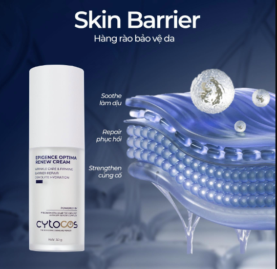 Cytocos Epigence Optima Renew Cream
